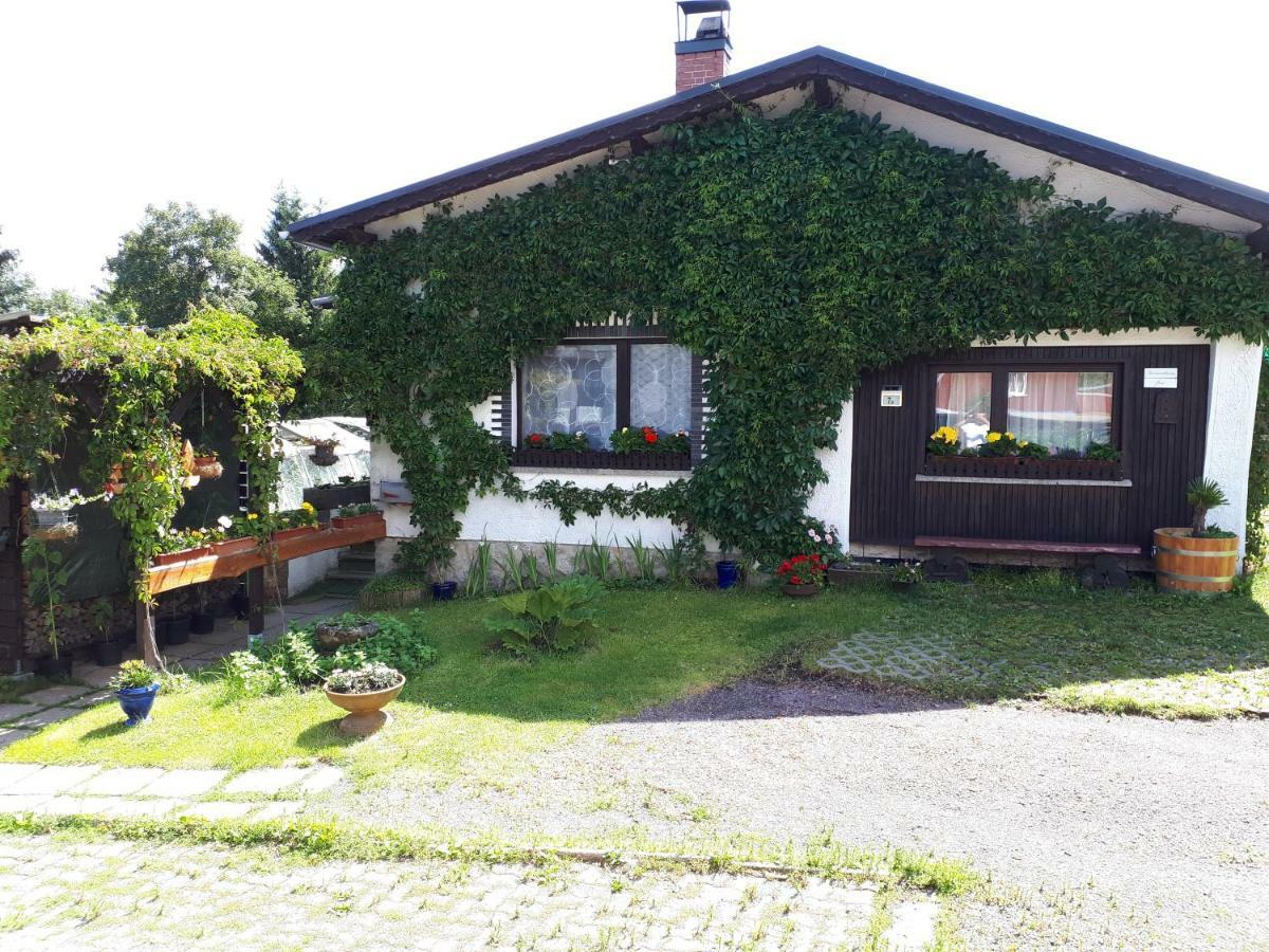 Ferienwohnung Kupfer Schmiedefeld am Rennsteig Exterior photo